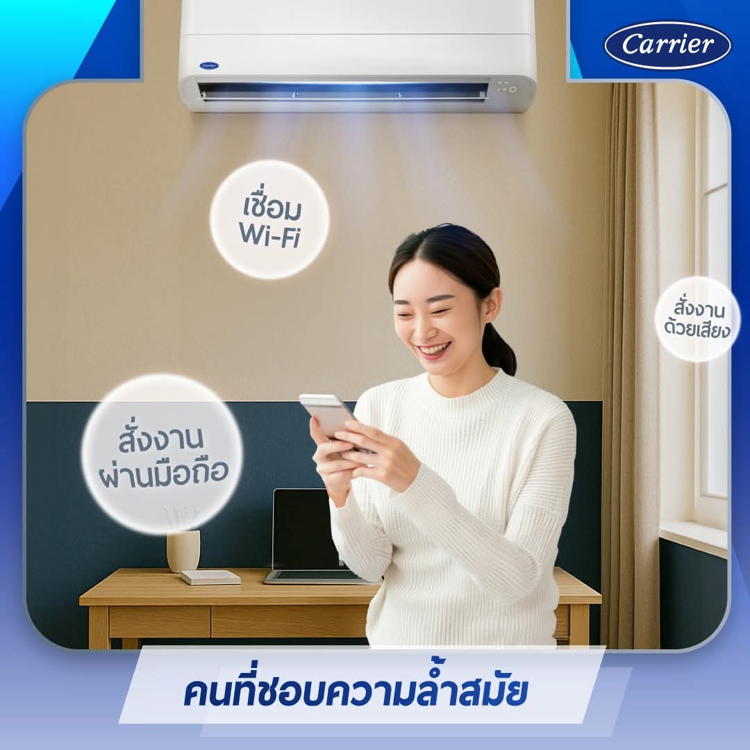 Carrier Copper 11 Inverter (9,500 BTU)